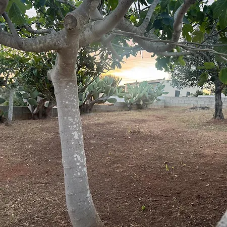 Il Giglio Del Sud * Marina Di Pescoluse